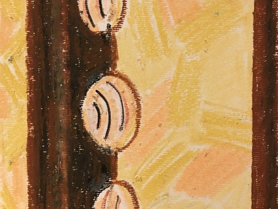 2017 Abstract Shells