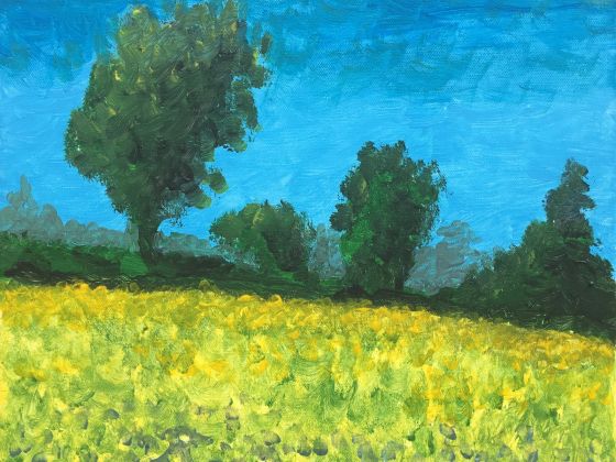 2017 Rapeseed