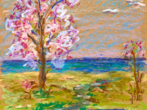 2015 Blooming Almond
