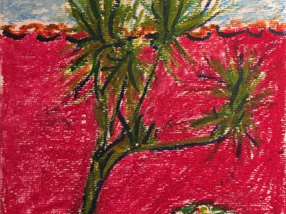 2017 Yucca